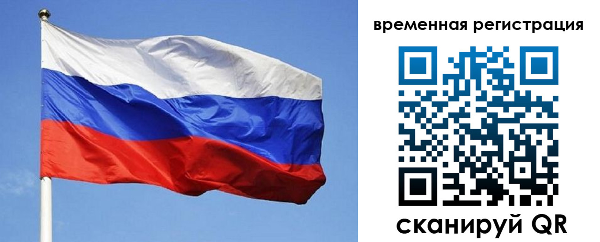 прописка в квартире в Ермолино